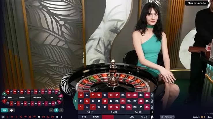 How do live roulette apps show your bet history for the table you are sitting at?